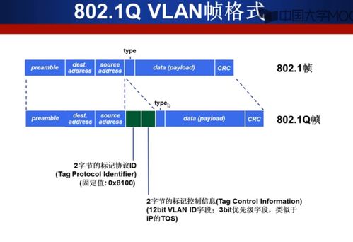 計算機網(wǎng)絡(luò)數(shù)據(jù)鏈路層